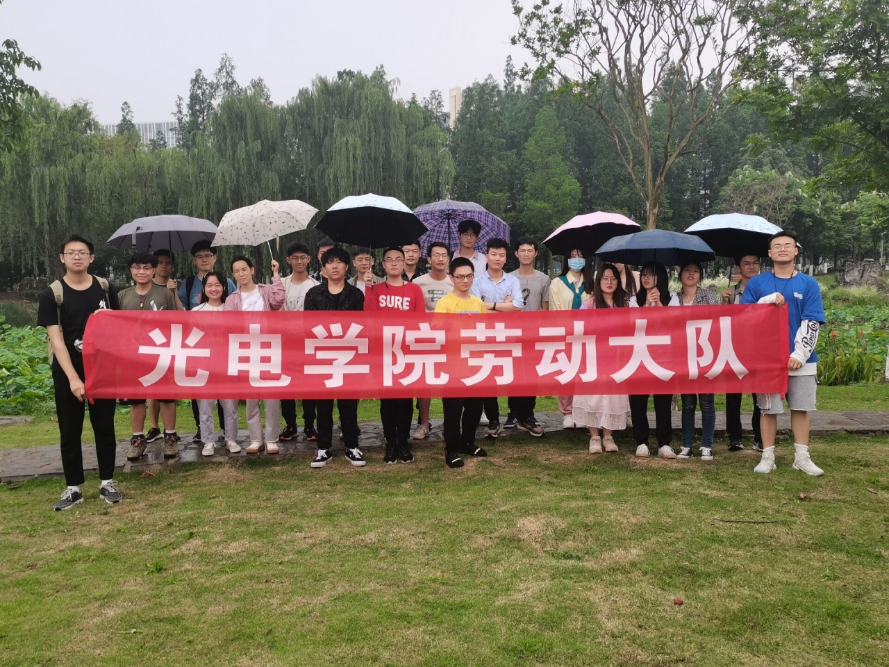 李树-1.jpg 李树-1.jpg