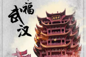 【共抗疫情 爱国力行】光电学院：三位一体齐抗疫，爱国力行显担当