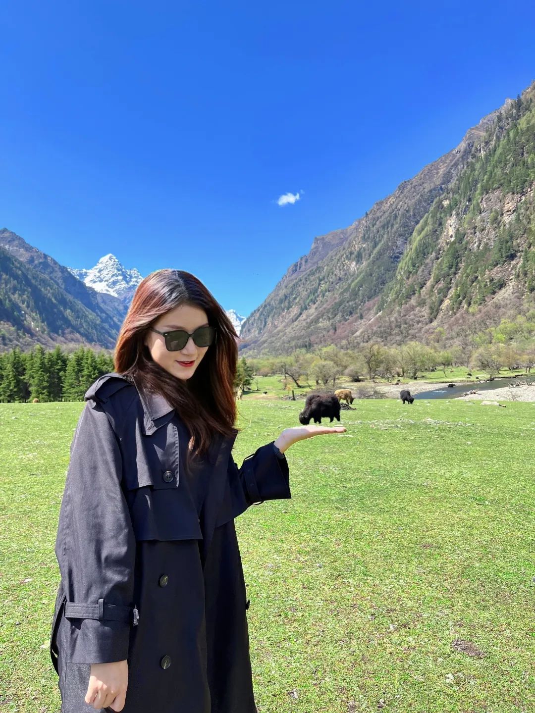 ab79db73afd09386678cb7e193706dc4.jpg ab79db73afd09386678cb7e193706dc4.jpg