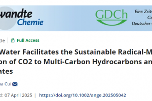 基础院崔春华教授团队在Angewandte Chemie发表水自由基合成“原始汤”最新成果