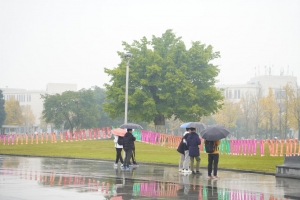 【银杏节】赏“醉美银杏”，游灯谜大会