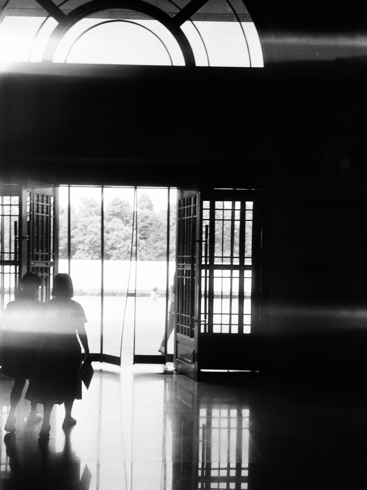 mmexport1687228961502.jpg mmexport1687228961502.jpg