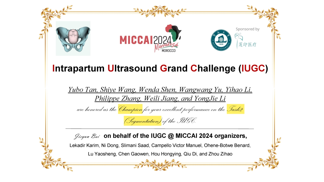 生命学院类脑计算团队获医学影像计算顶会MICCAI挑战赛冠军