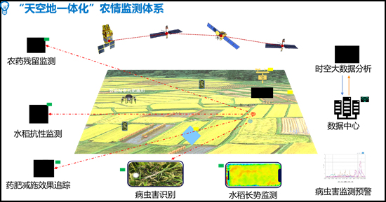 1589441744897121.jpg 图片 25.jpg