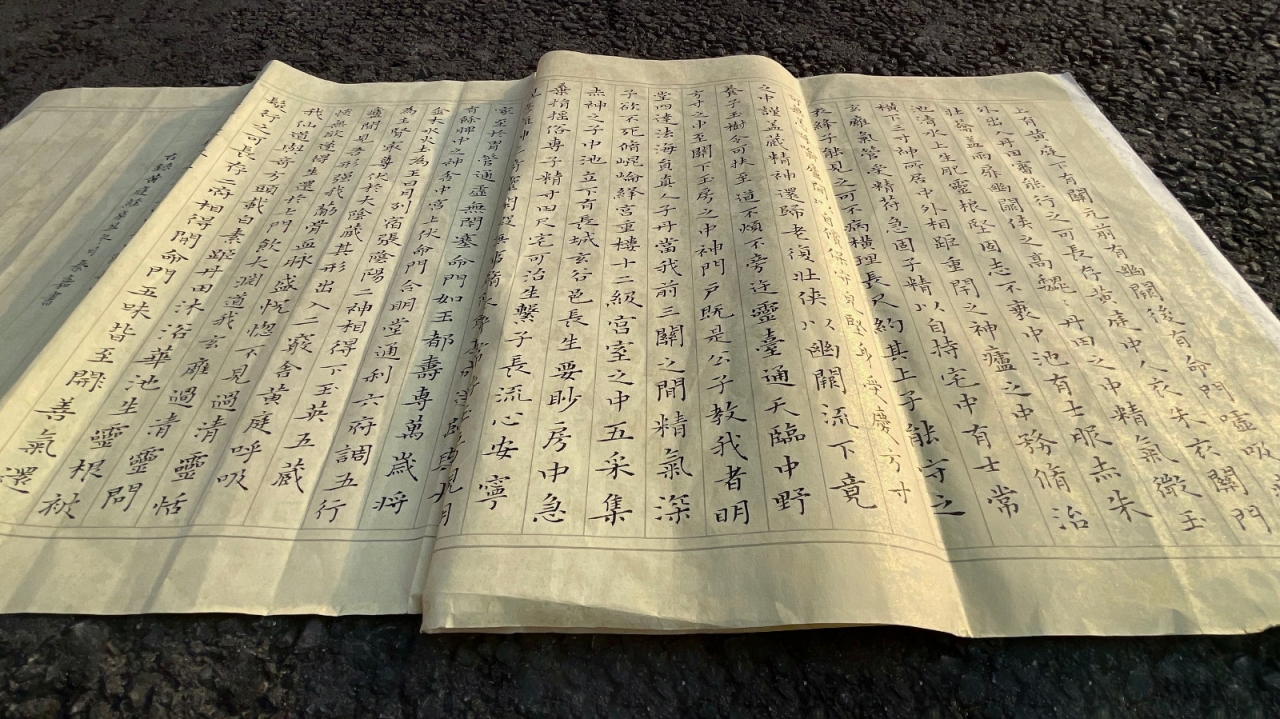 一等奖 临黄庭经 自动化工程学院 秦嘉-1.jpg