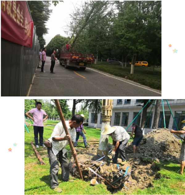 暑期校园改造忙  焕然一新迎开学