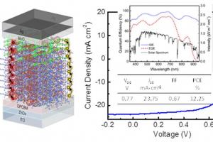 于军胜教授团队在国际权威期刊《先进材料》发表封面论文