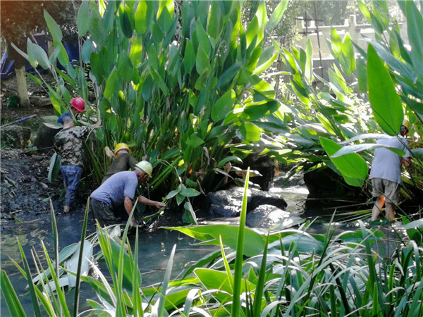 1566809723839095993.jpg 1566809723839095993.jpg