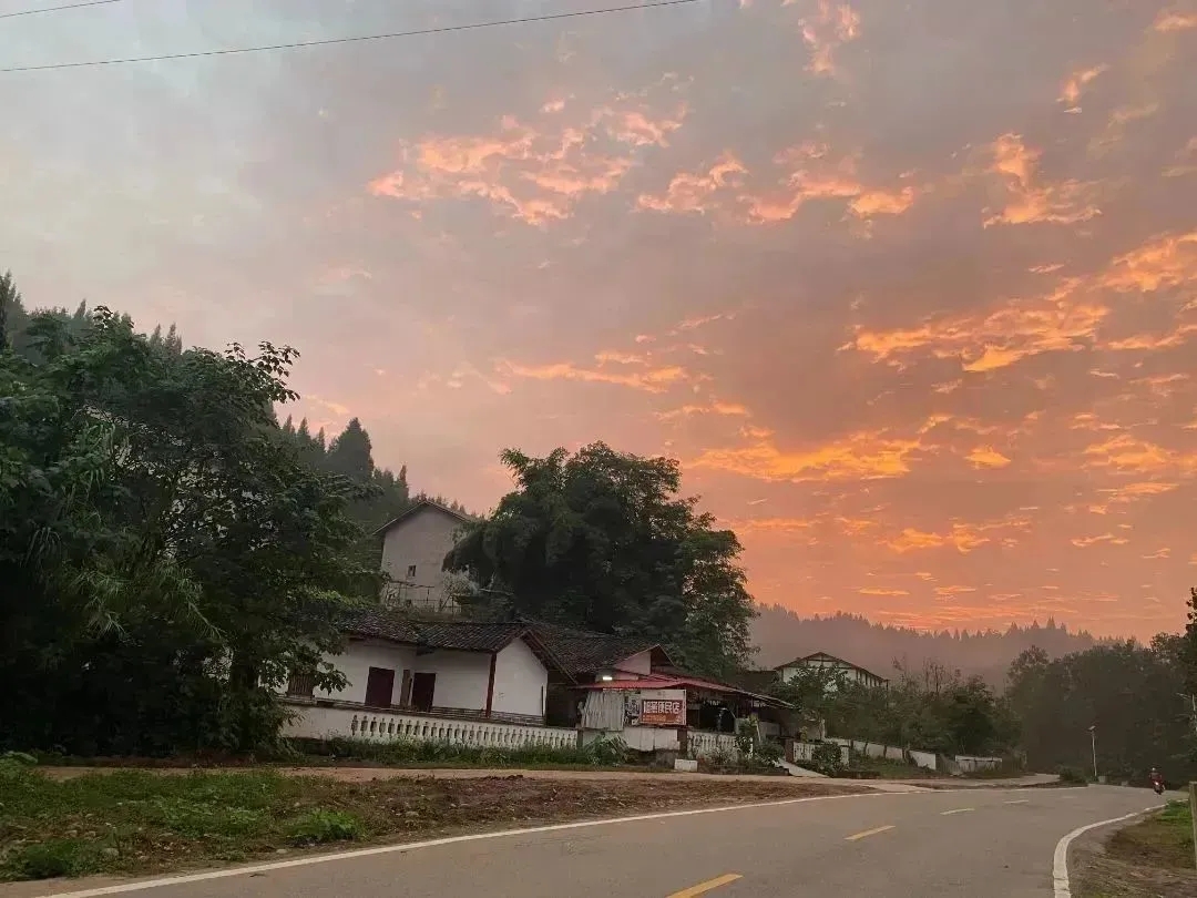 mmexport1671504713155.jpg 3aa211238ebfd805ae4e3ac03d4a7be3.jpg