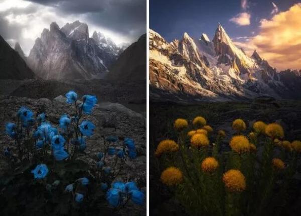 QQ截图20181105094225.jpg 3bf1bf0e838fed91b9801a66537e17b8.jpg