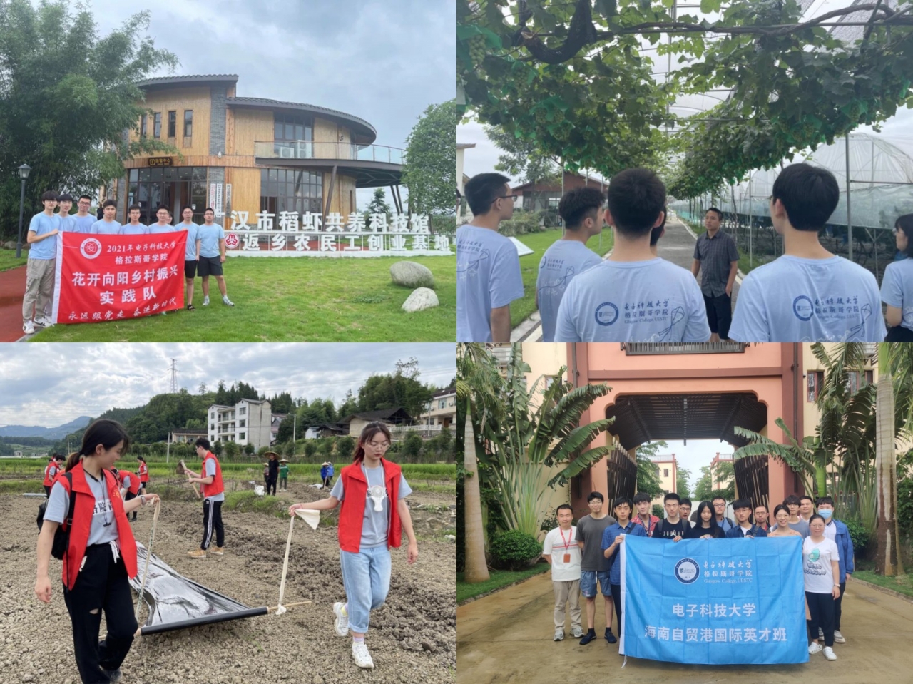 图片4.JPG 图片4.JPG