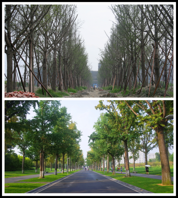 012.png 3cc0c6d168e9d6de62380de020c187fd.png