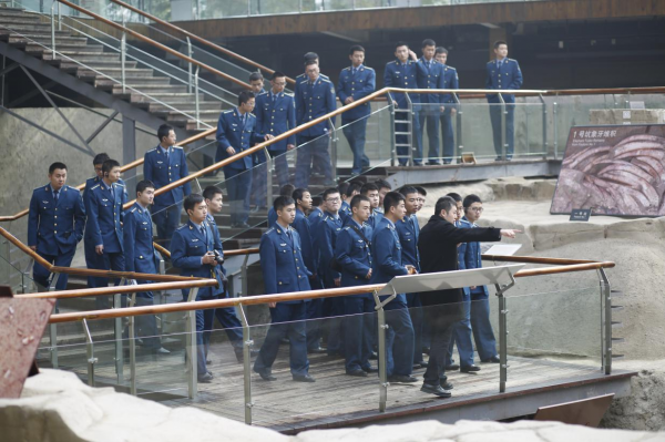 11.png 3d32777c6338887f8ad5a0e3cb12acd4.png