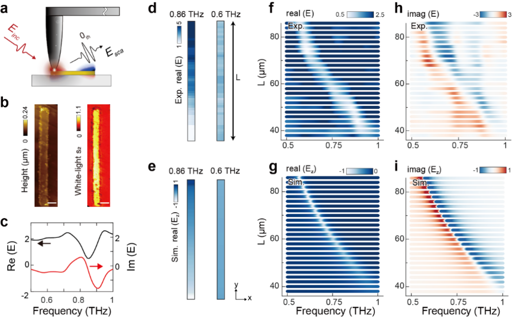 太赫兹中心胡旻团队与华科大李培宁团队、浙大张晖团队合作成功揭示历史颜料纳米级太赫兹光学特性