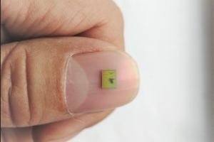 【美丽成电·创新之美】小小芯片，却是多用途“健康管家”！