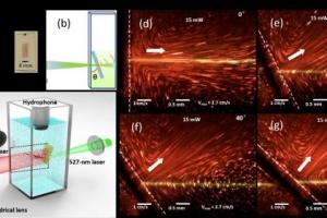 王志明教授团队在《美国科学院院刊》发表研究成果