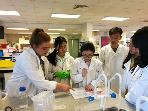 实验动手,实践知真.jpg 实验动手,实践知真.jpg