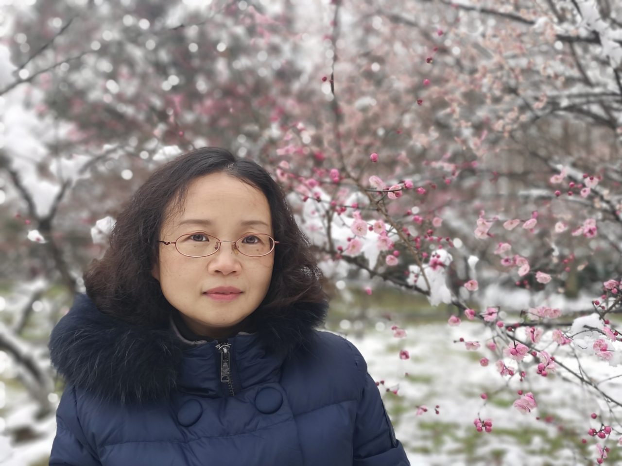 杨宁.jpg 杨宁.jpg