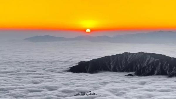 IMG_3730.JPG 40775332a55bc1df5c06b6aebde8e3c6.jpg