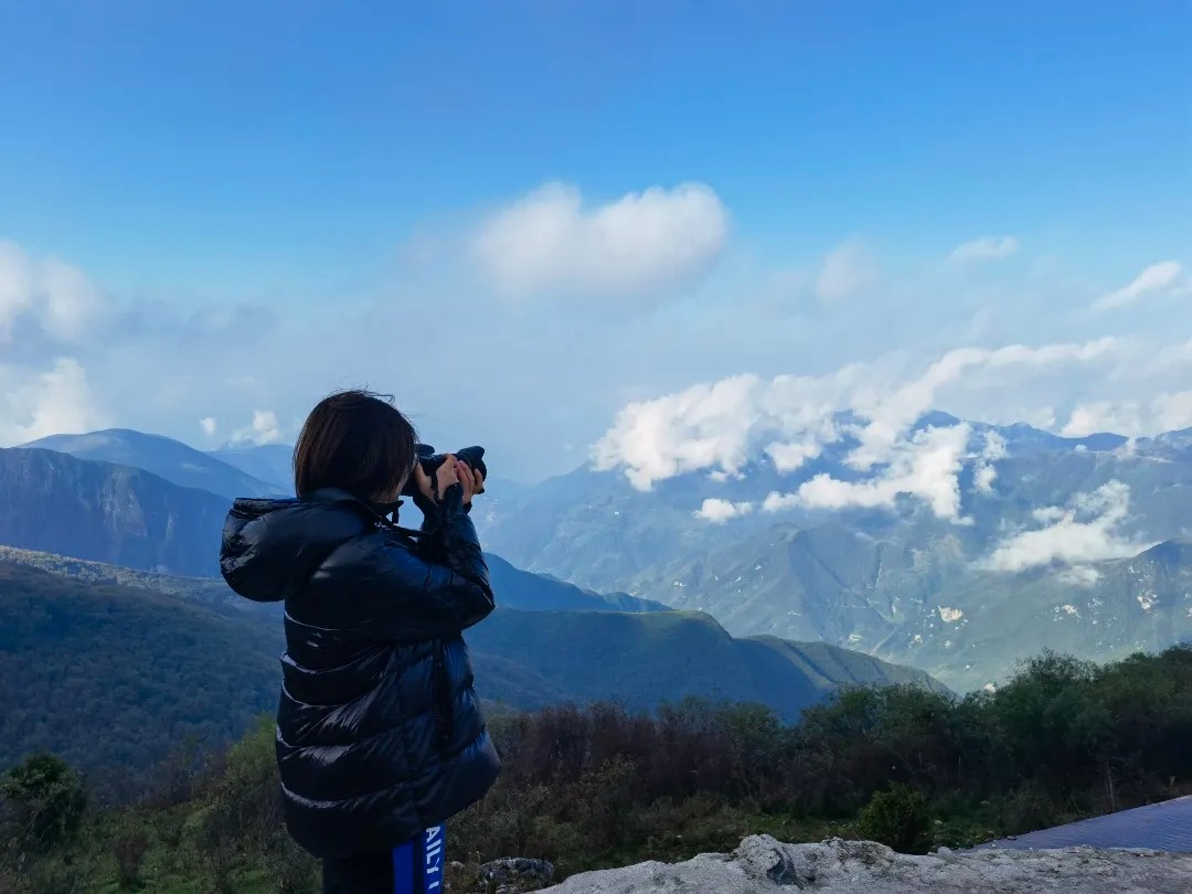 mmexport1646973129703.jpg mmexport1646973129703.jpg