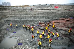 新京报：夺宝“奇兵”