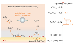 基础院崔春华教授团队在JACS 发文揭示CO₂激活水合电子机制