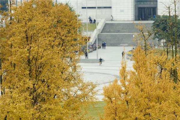 3.jpg 43f3350ae45b36e890cb0ed6cd448ee6.jpg