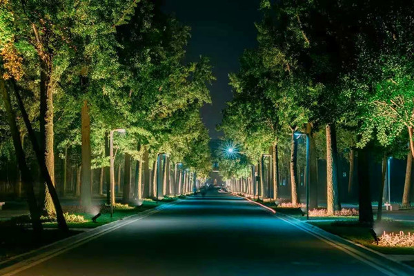 26113345ckjf.jpg 26113345ckjf.jpg