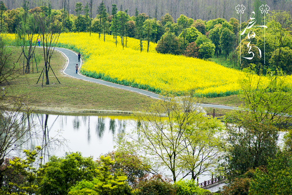 春分.png 春分.png