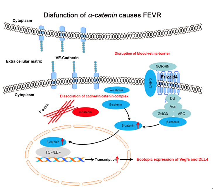 3.png 4848ca43942524ccea4572e70fe66215_37981.p