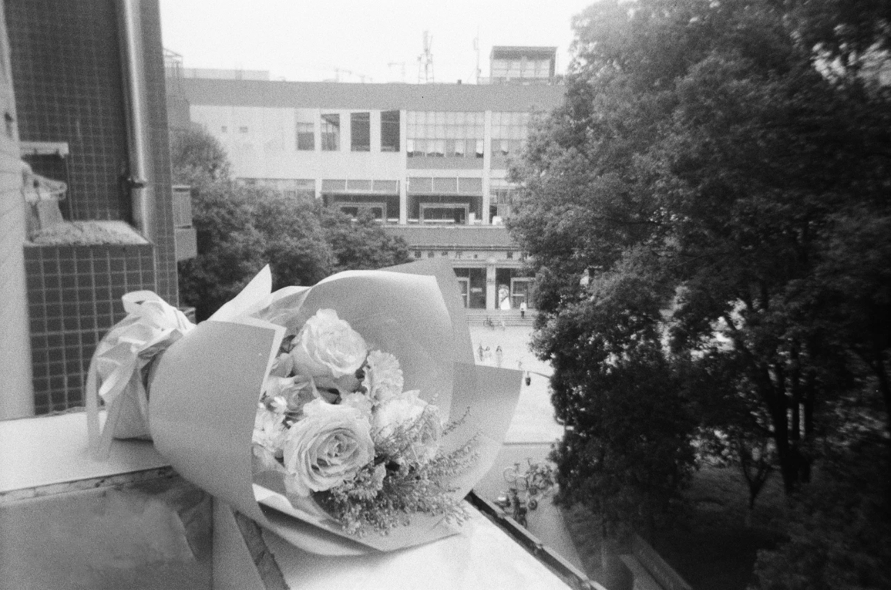 mmexport1687230138969.jpg mmexport1687230138969.jpg