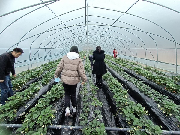 4ae37fd32abd6fa560ab726a58f42fd6_e5337.j