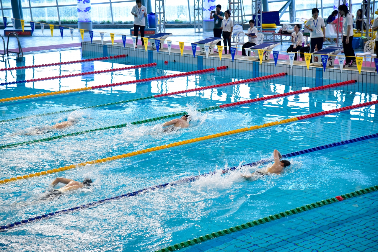 _DSC7912.jpg 4bf4283a1e3f24e01e5e60a8419a1387_47b06.j