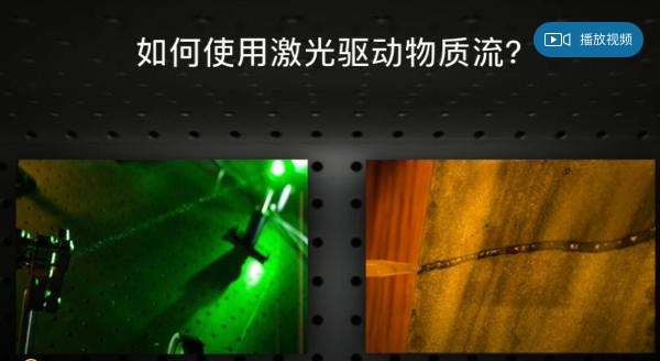 基础院王志明教授团队在Science子刊Science Advances上发表论文