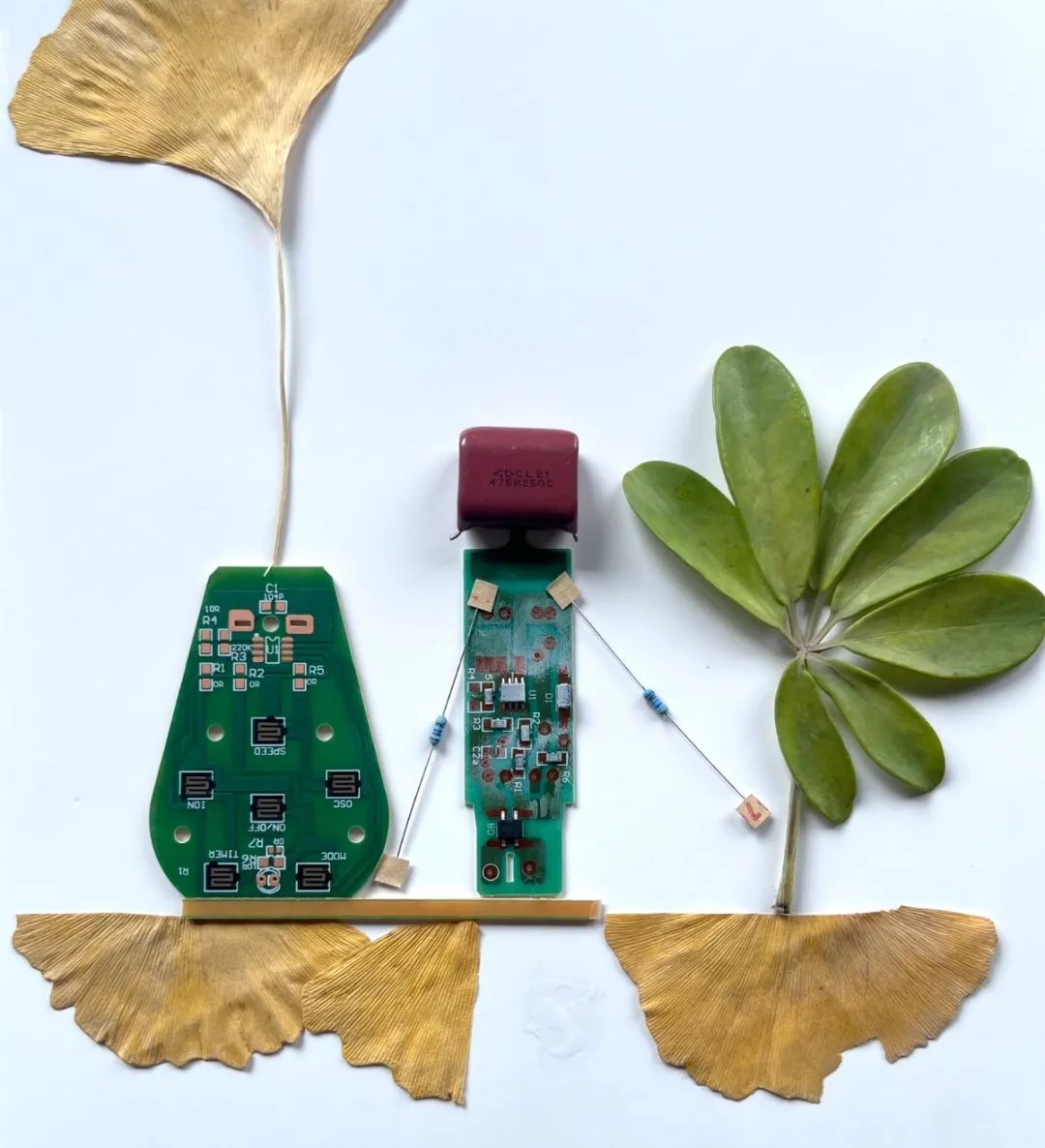 12.jpg 4cf4fa90ffda77340c6f6a205b7bce7c.jpg