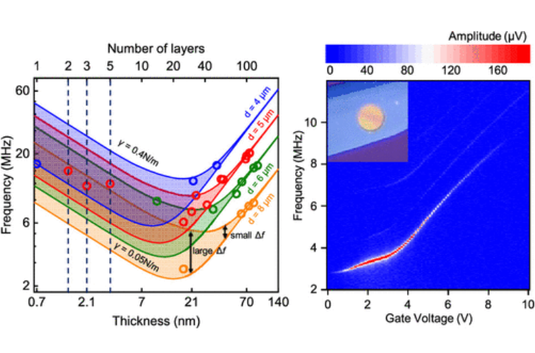 基础院王曾晖、夏娟课题组在二维材料微纳机电器件研究方向取得一系列重要进展