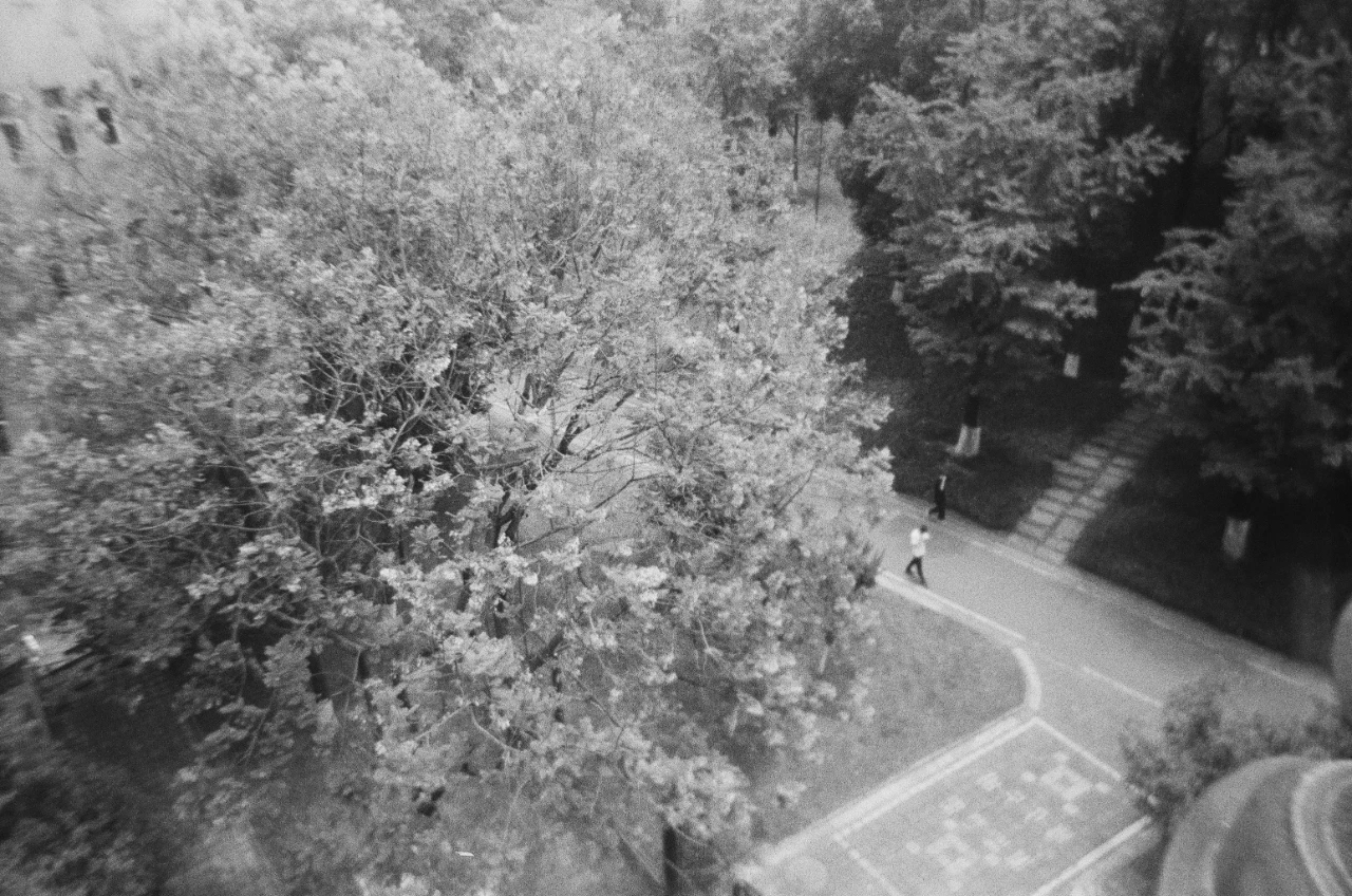 mmexport1687228964161.jpg mmexport1687228964161.jpg