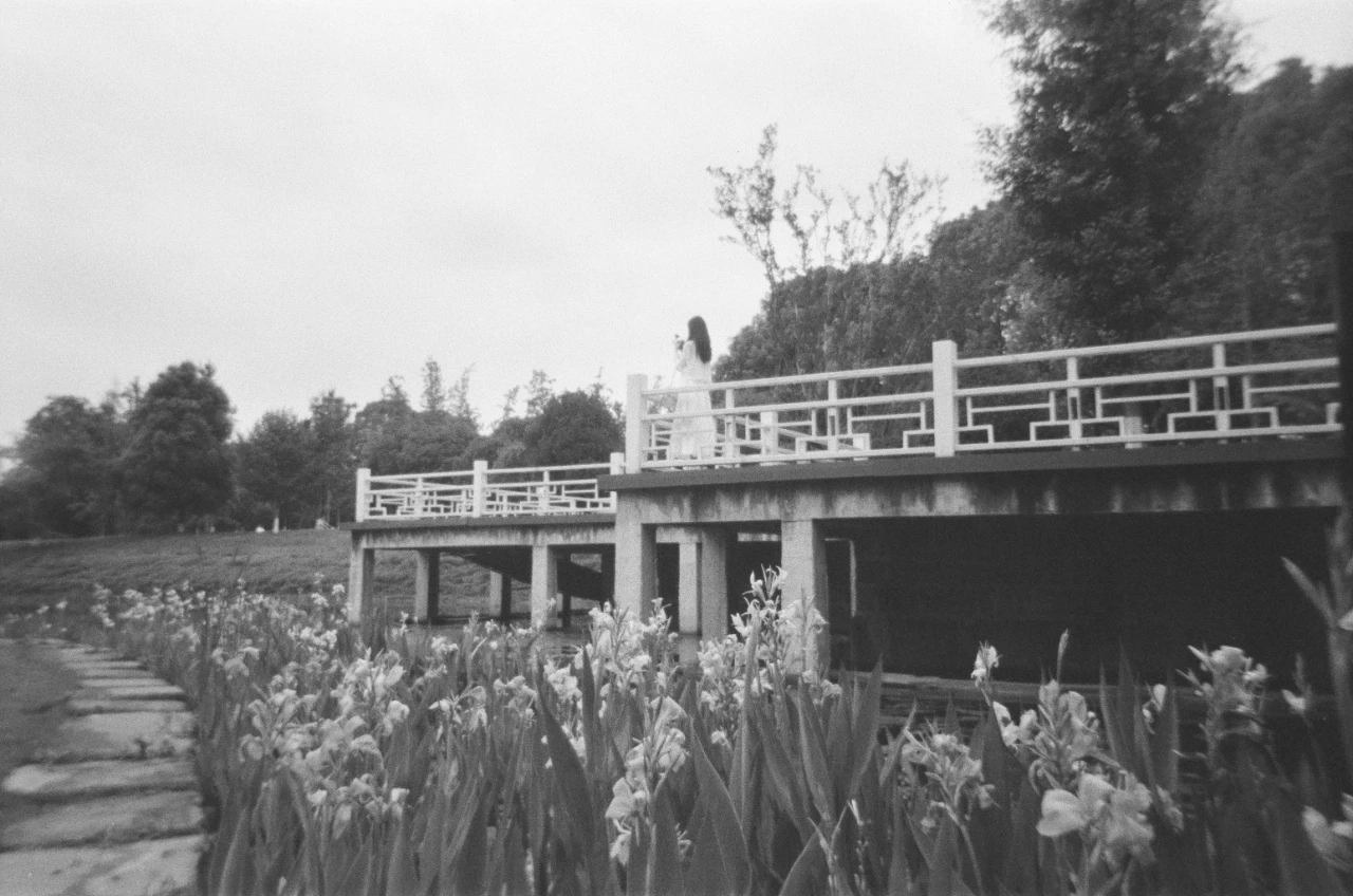 mmexport1687228955763.jpg mmexport1687228955763.jpg