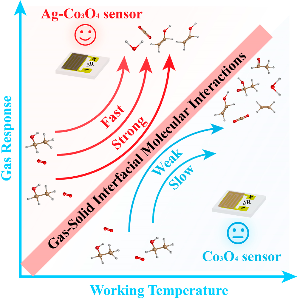 董帆5.png 董帆5.png