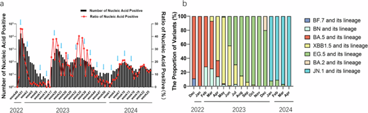 图片3.png 4efb597ab9745386411c5f5dead1b08c_b2305.p