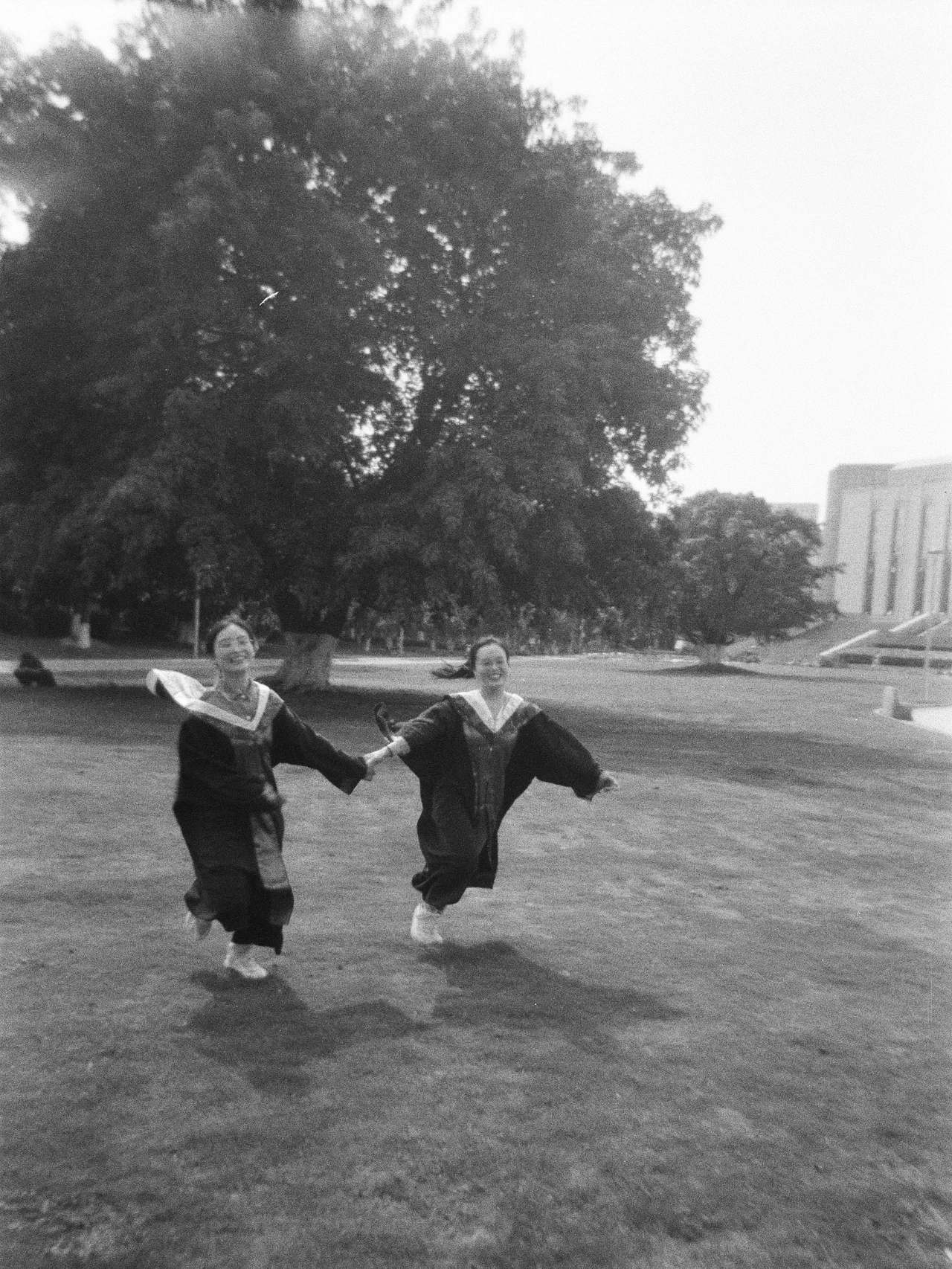 mmexport1687228415291.jpg mmexport1687228415291.jpg