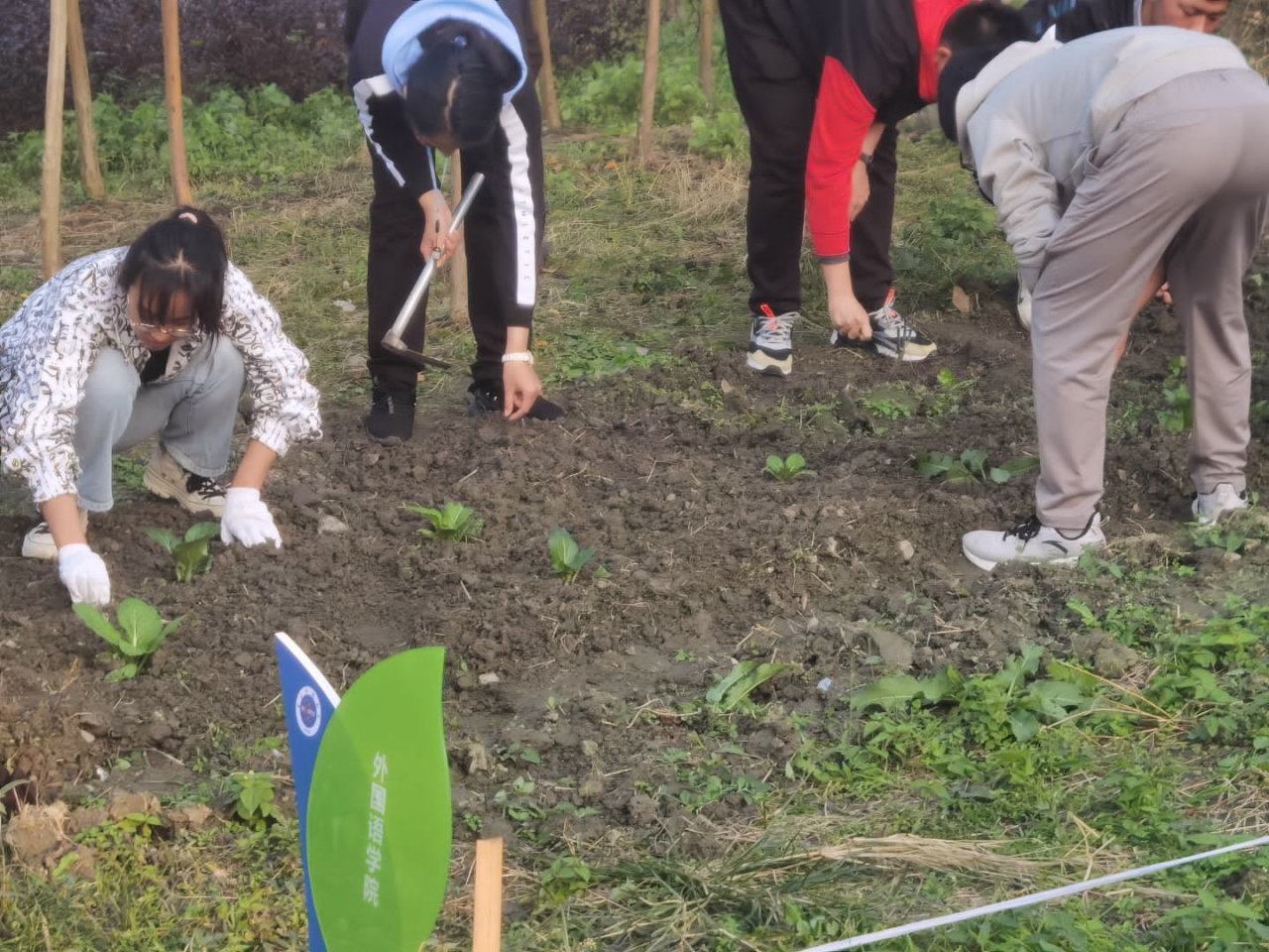 苗圃.png 52ebacb0b055abd700b0d4267cfaaa05_e0c3d.p