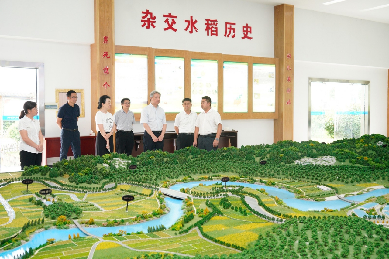 扶贫调研 (7) 杂交水稻制种基地.JPG 扶贫调研 (7) 杂交水稻制种基地.JPG