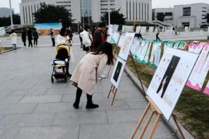 【银杏节】“银杏赏记”摄影书画展定格银杏之美