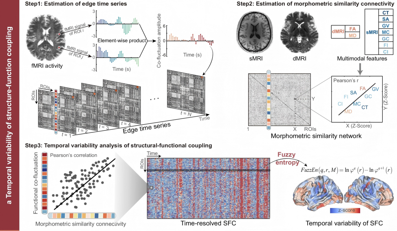 图1(1).png 图1(1).png