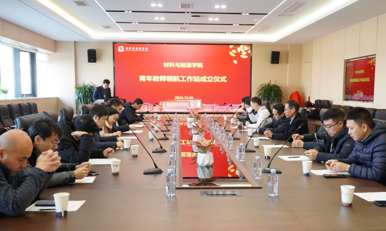 材料学院举行青年教师领航工作站成立仪式暨首期“领航工作坊”活动