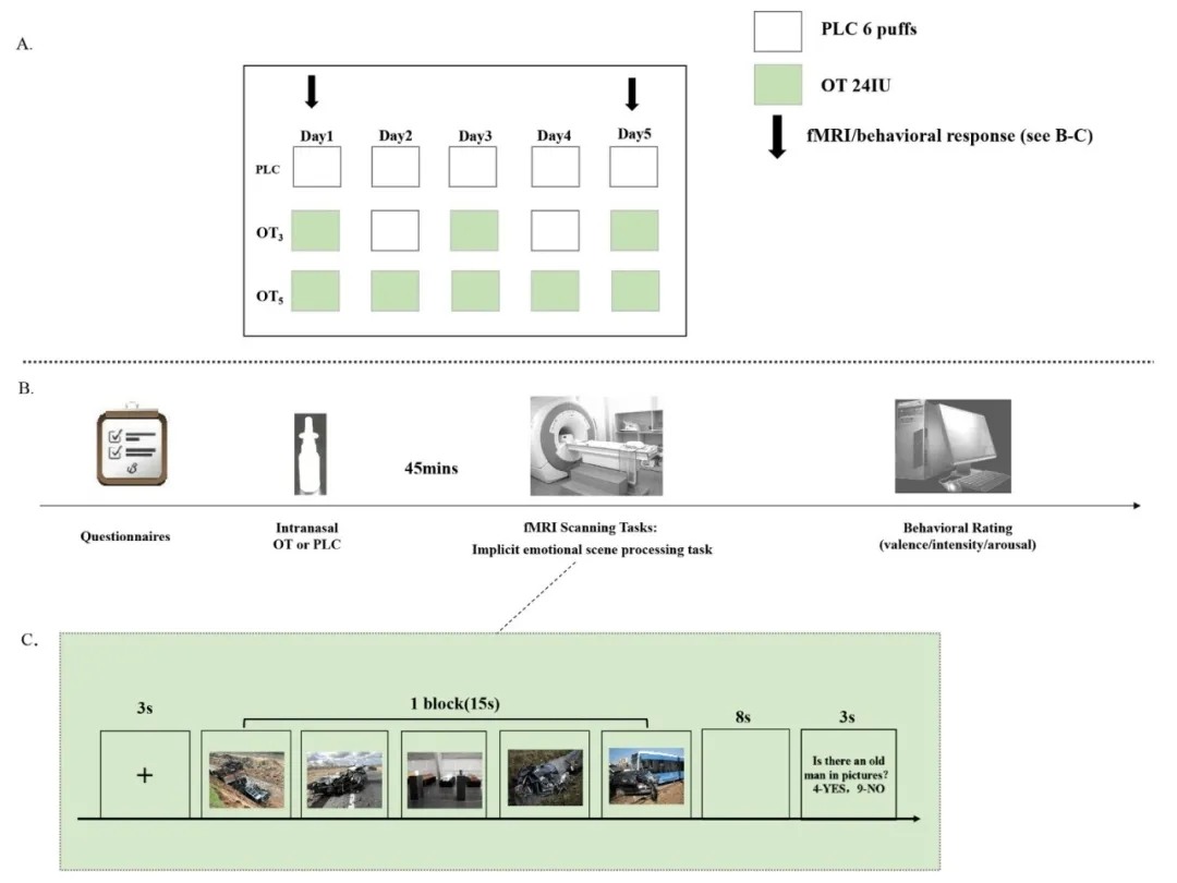 mmexport1646877470092.jpg mmexport1646877470092.jpg