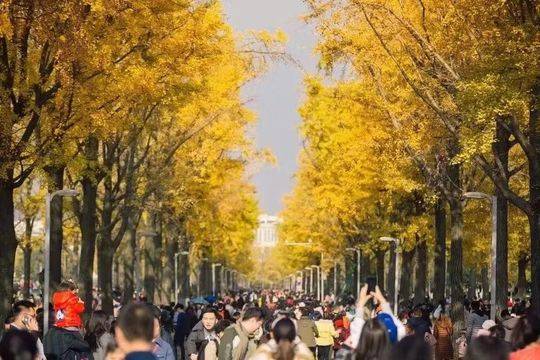 57e8dbc4223ad6b3a3d4069fecc2f59d_e9d16.j