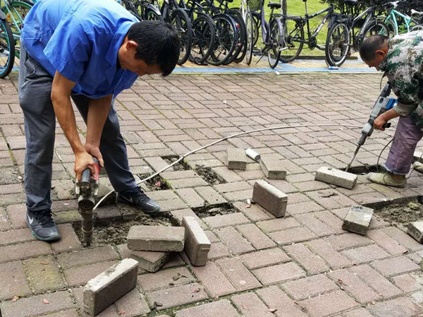 1574327892690051201.jpg 1574327892690051201.jpg