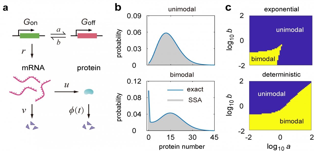 数学学院李佑铭老师在顶级期刊《Physical Review Letters》上发表学术论文